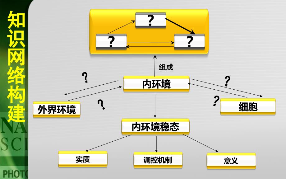 人体的内环境及稳态教学_第2页