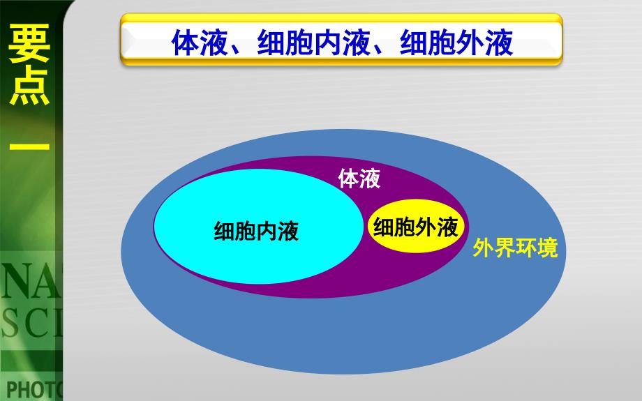 人体的内环境及稳态教学_第4页