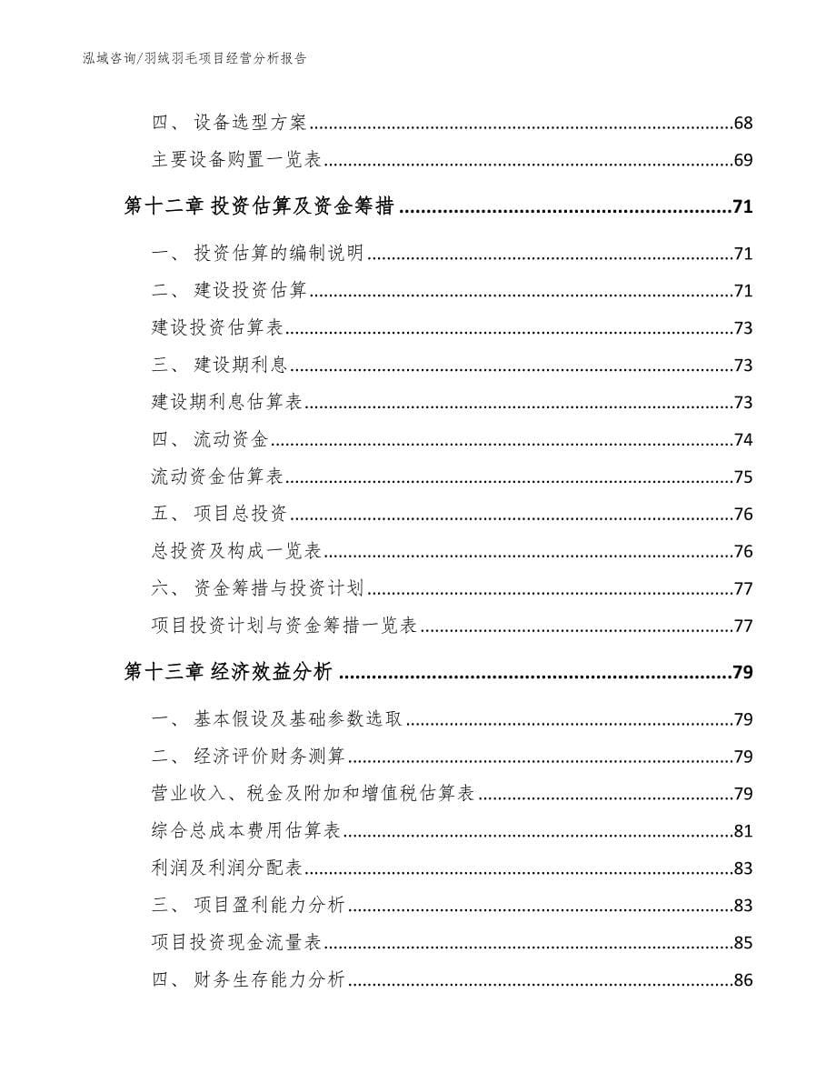 羽绒羽毛项目经营分析报告（模板）_第5页