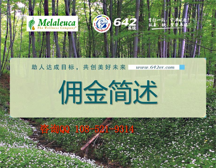美乐家奖金制度(最新大陆版)_第1页