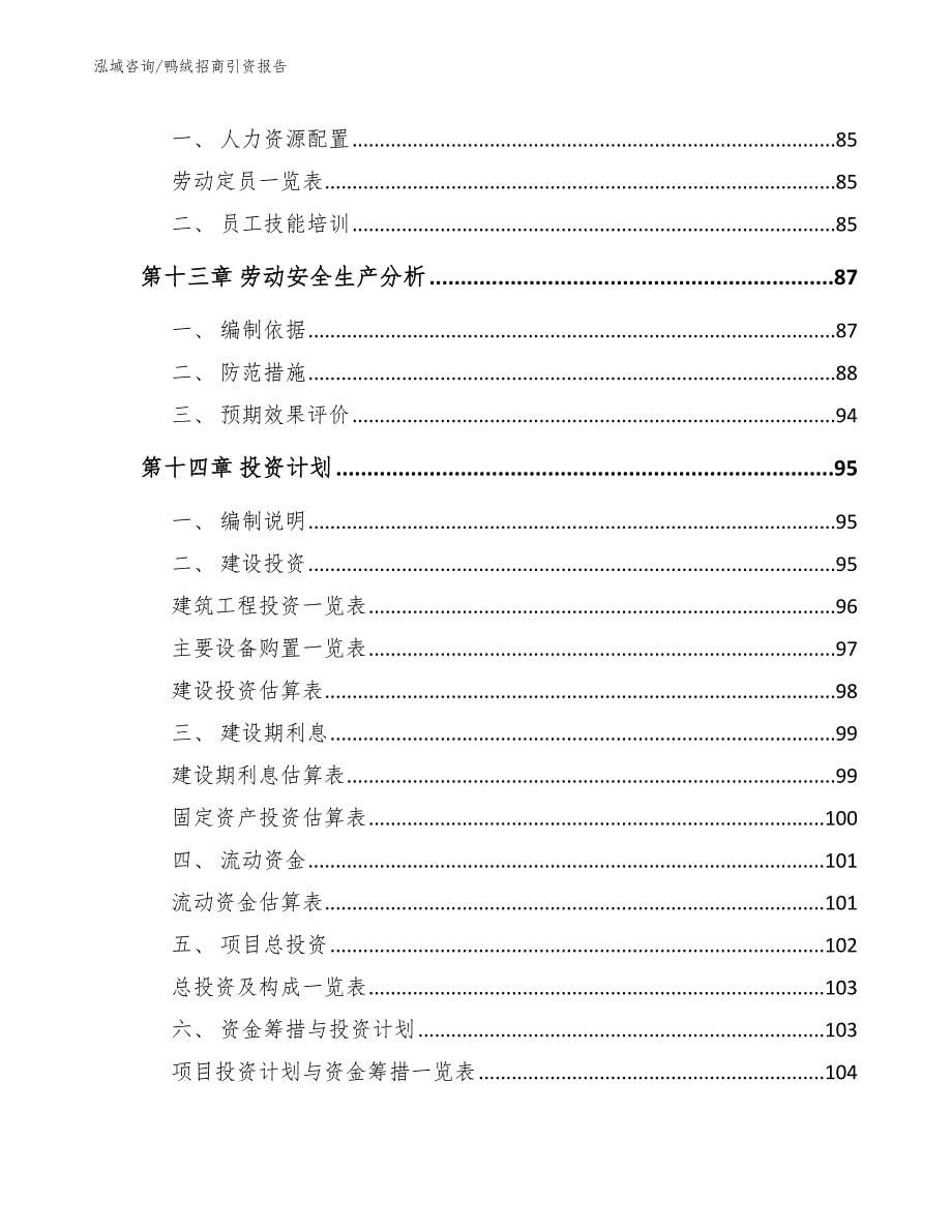 鸭绒招商引资报告【范文模板】_第5页