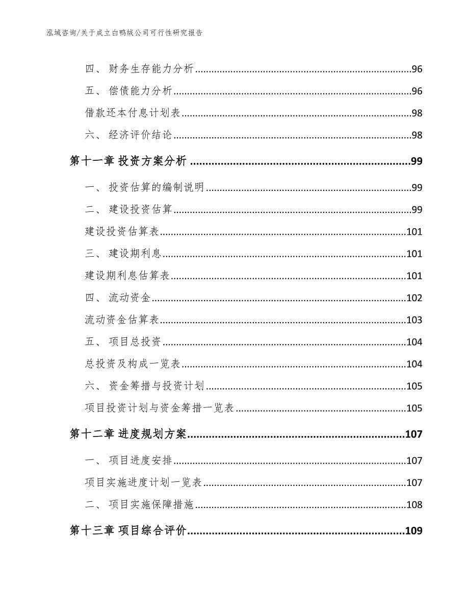 关于成立白鸭绒公司可行性研究报告_第5页