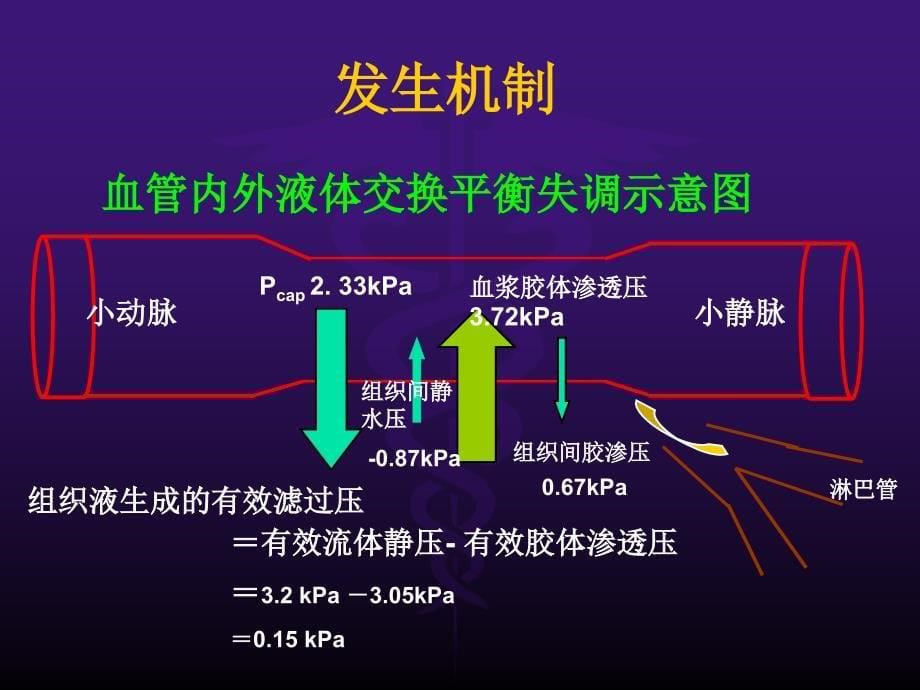 医学类教学课件：心悸水肿_第5页