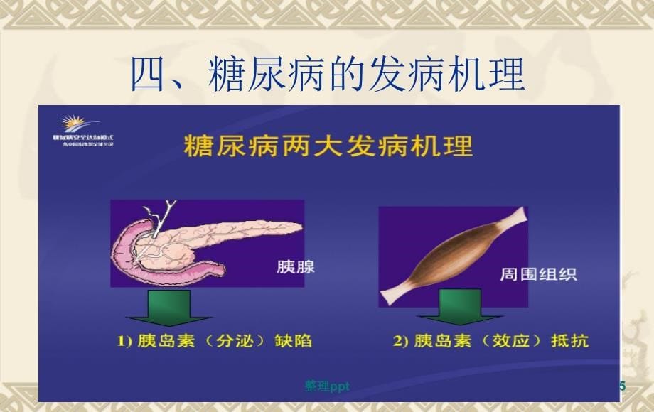 糖尿病健康教育21_第5页