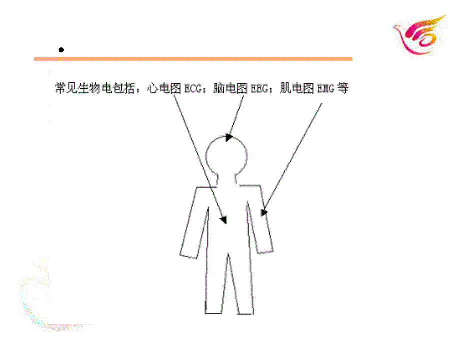 第五章生物电放大基础和心电图测量_第4页