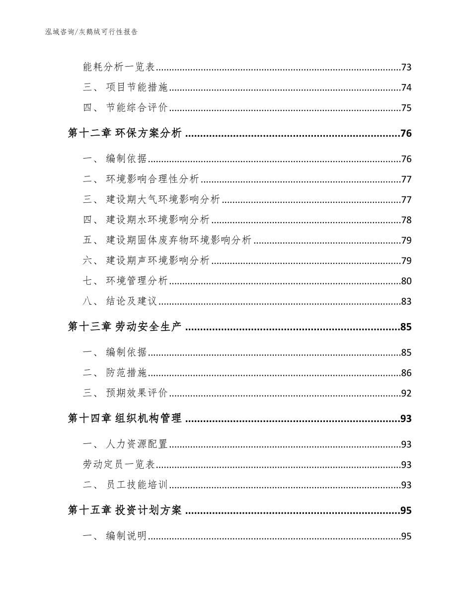 灰鹅绒可行性报告【模板参考】_第5页