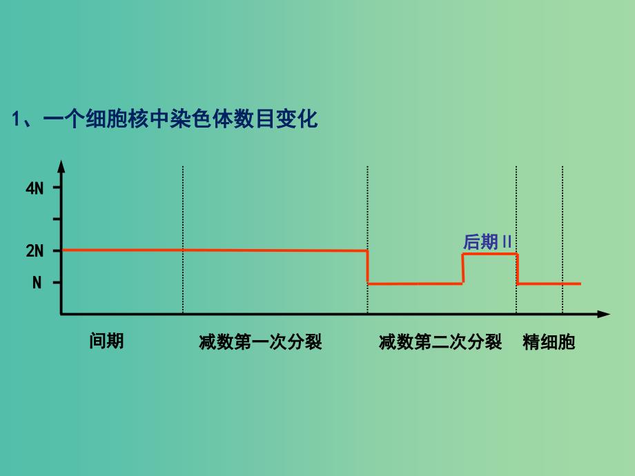 陕西省石泉县高中生物 第二章 减数分裂和有性生殖 2.1.2 减数分裂课件 苏教版必修2.ppt_第3页