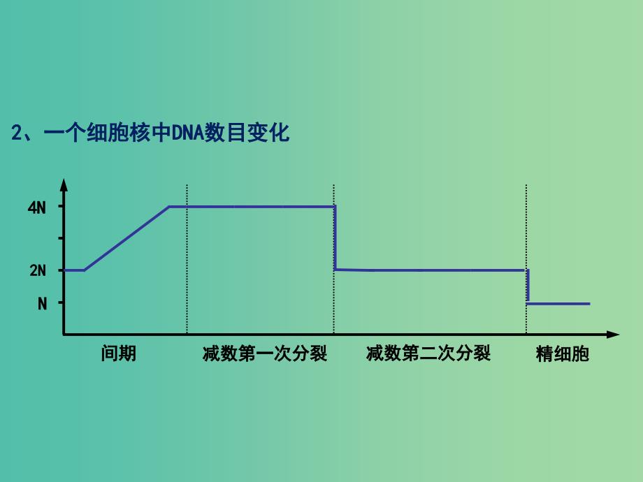 陕西省石泉县高中生物 第二章 减数分裂和有性生殖 2.1.2 减数分裂课件 苏教版必修2.ppt_第4页