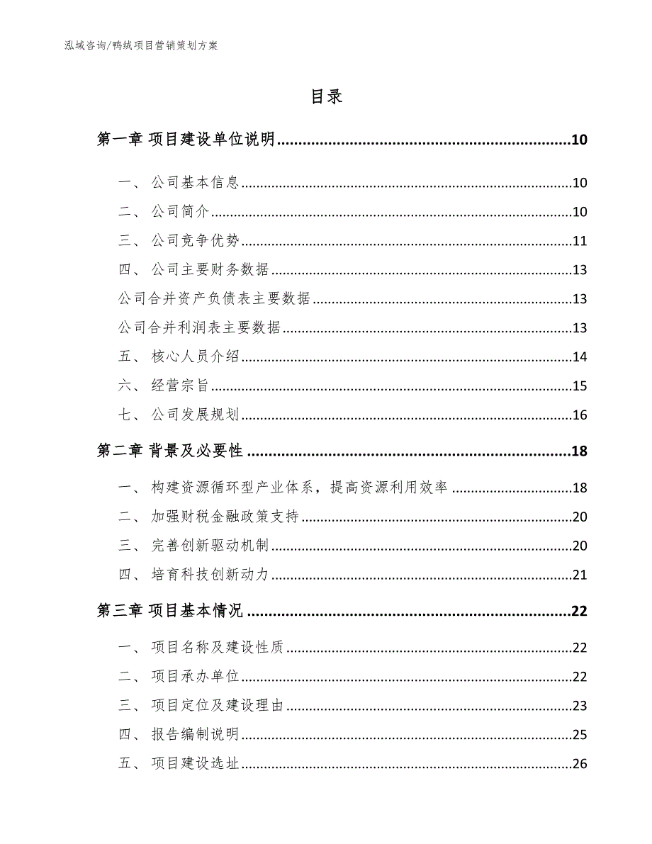 鸭绒项目营销策划方案（参考范文）_第2页