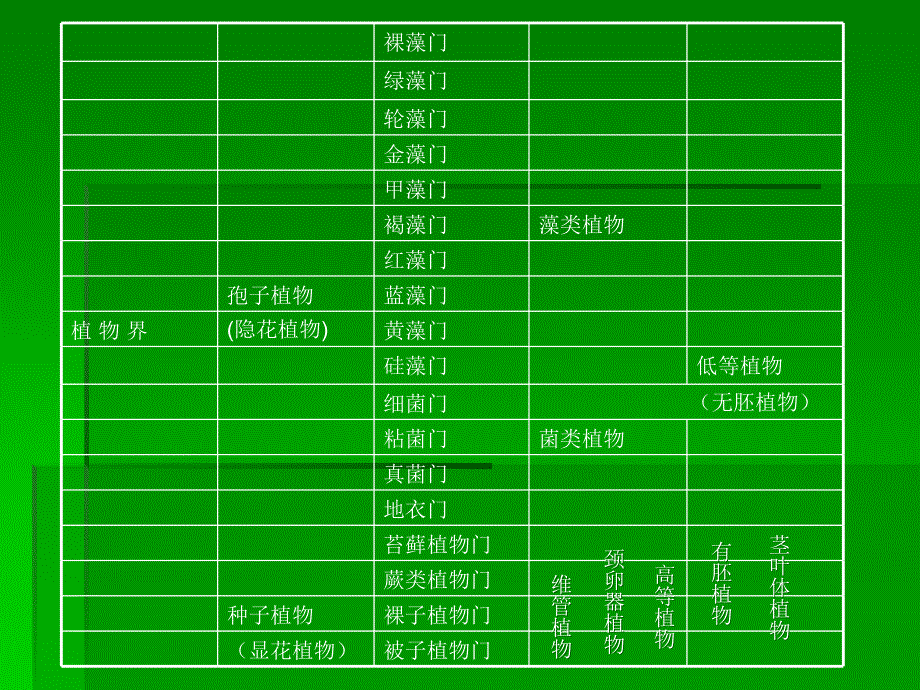 植物界的各大类群_第2页