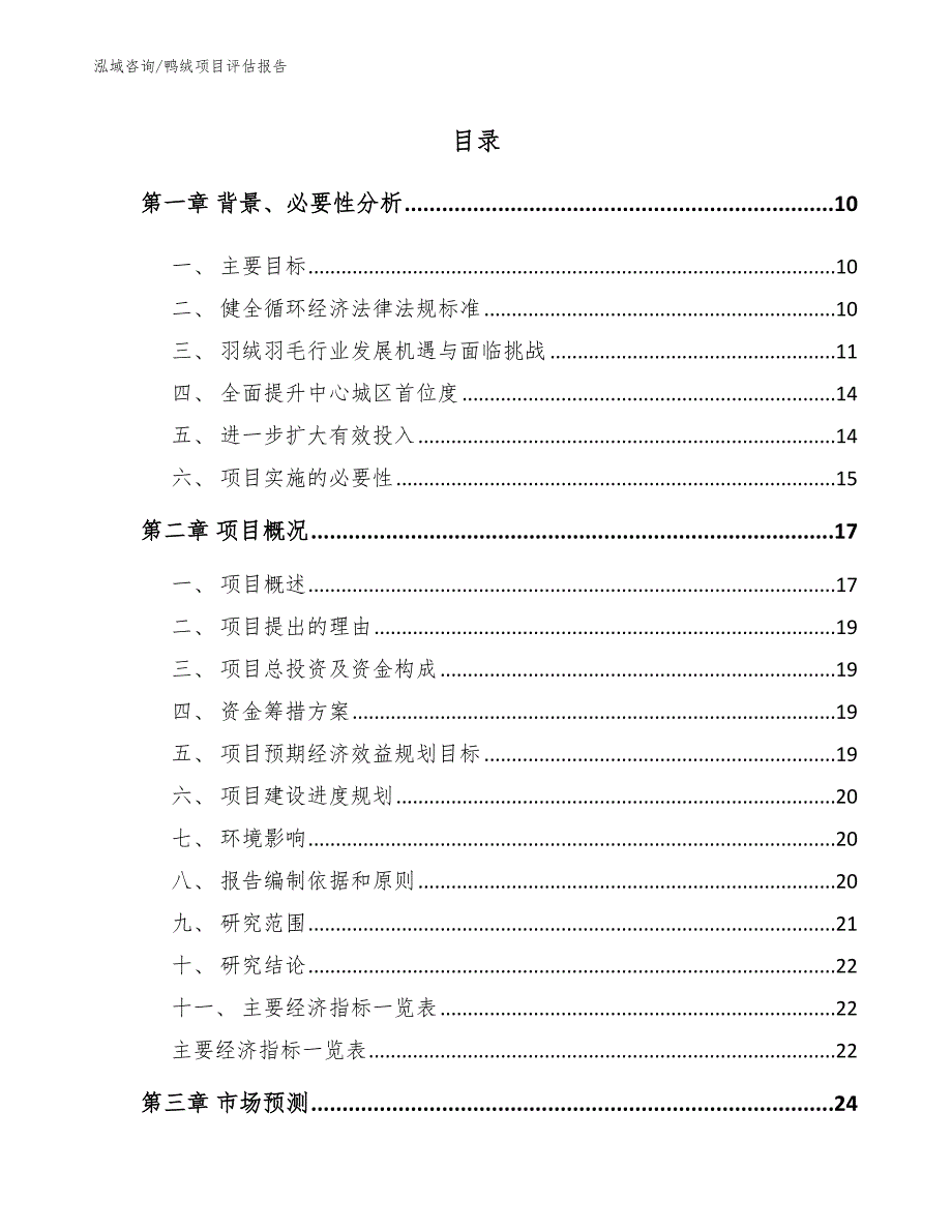 鸭绒项目评估报告_参考模板_第2页