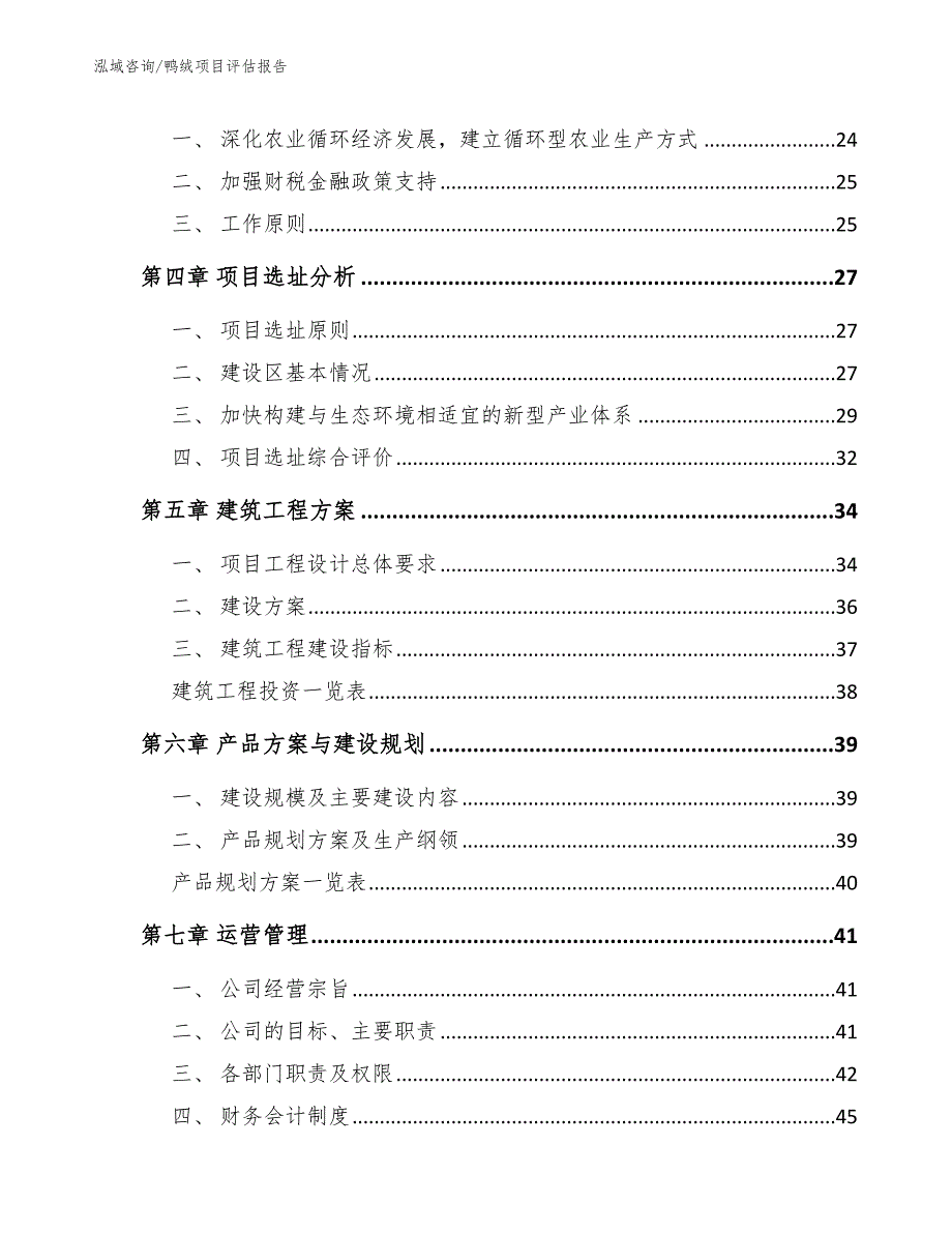 鸭绒项目评估报告_参考模板_第3页