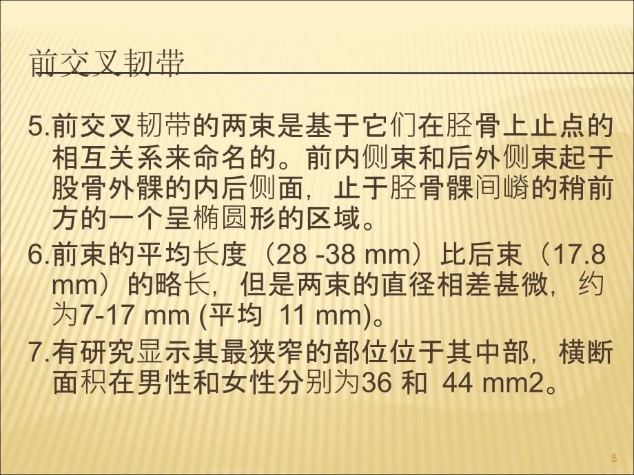 （优质课件）膝关节前交叉韧带的解剖_第5页