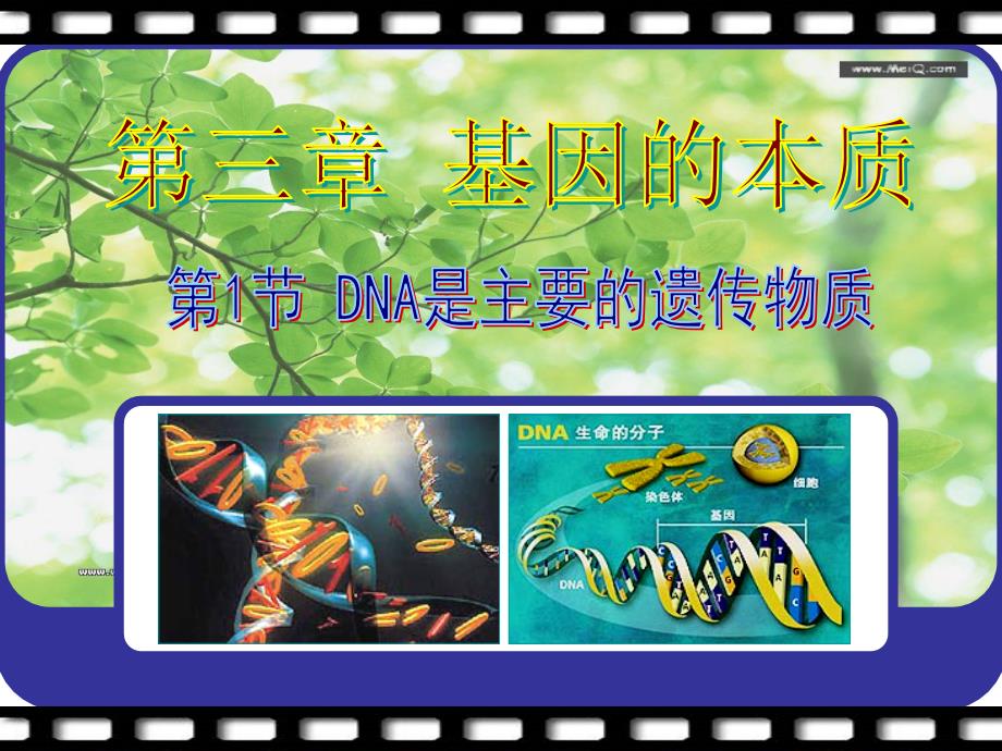 DNA是主要的遗传物质PPT_第1页