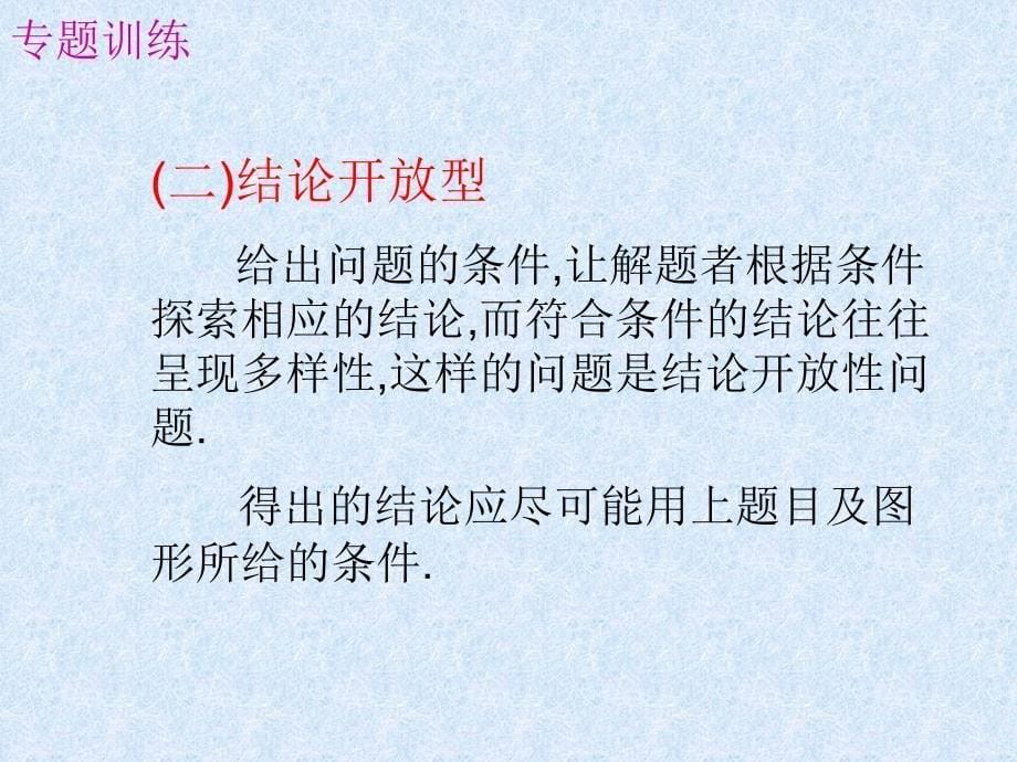 初中数学总复习专题训练开放性问题研究课件1_第5页