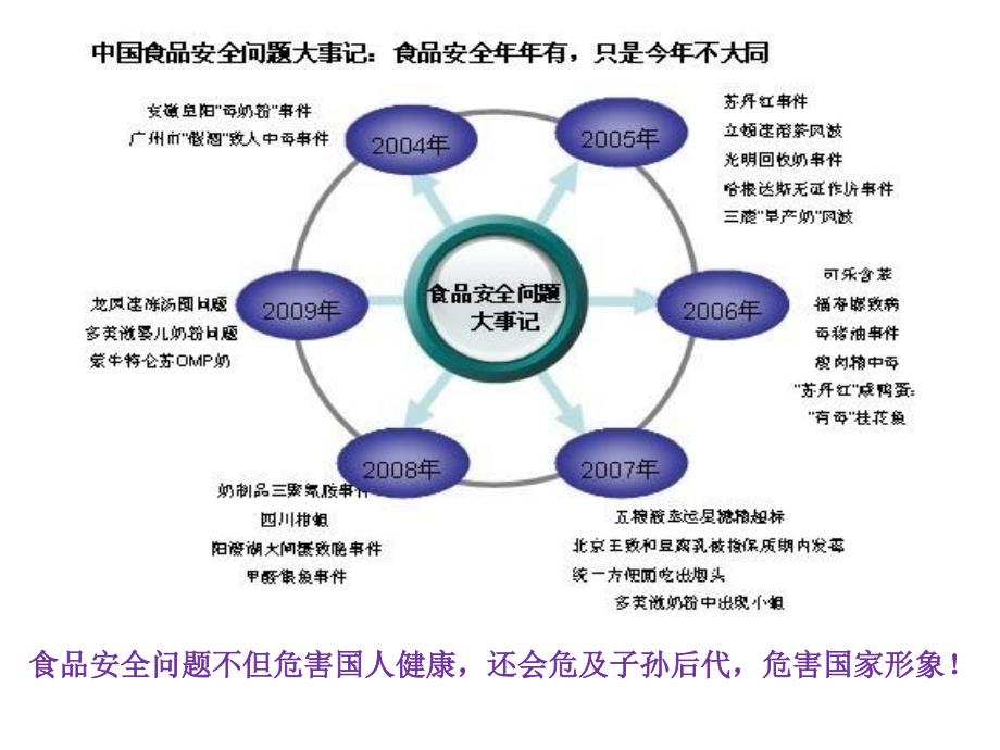 食品安全现场检测方法-王建龙.ppt_第2页