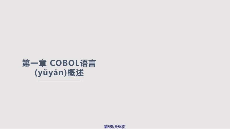 COBOL程序设计解析实用实用教案_第5页