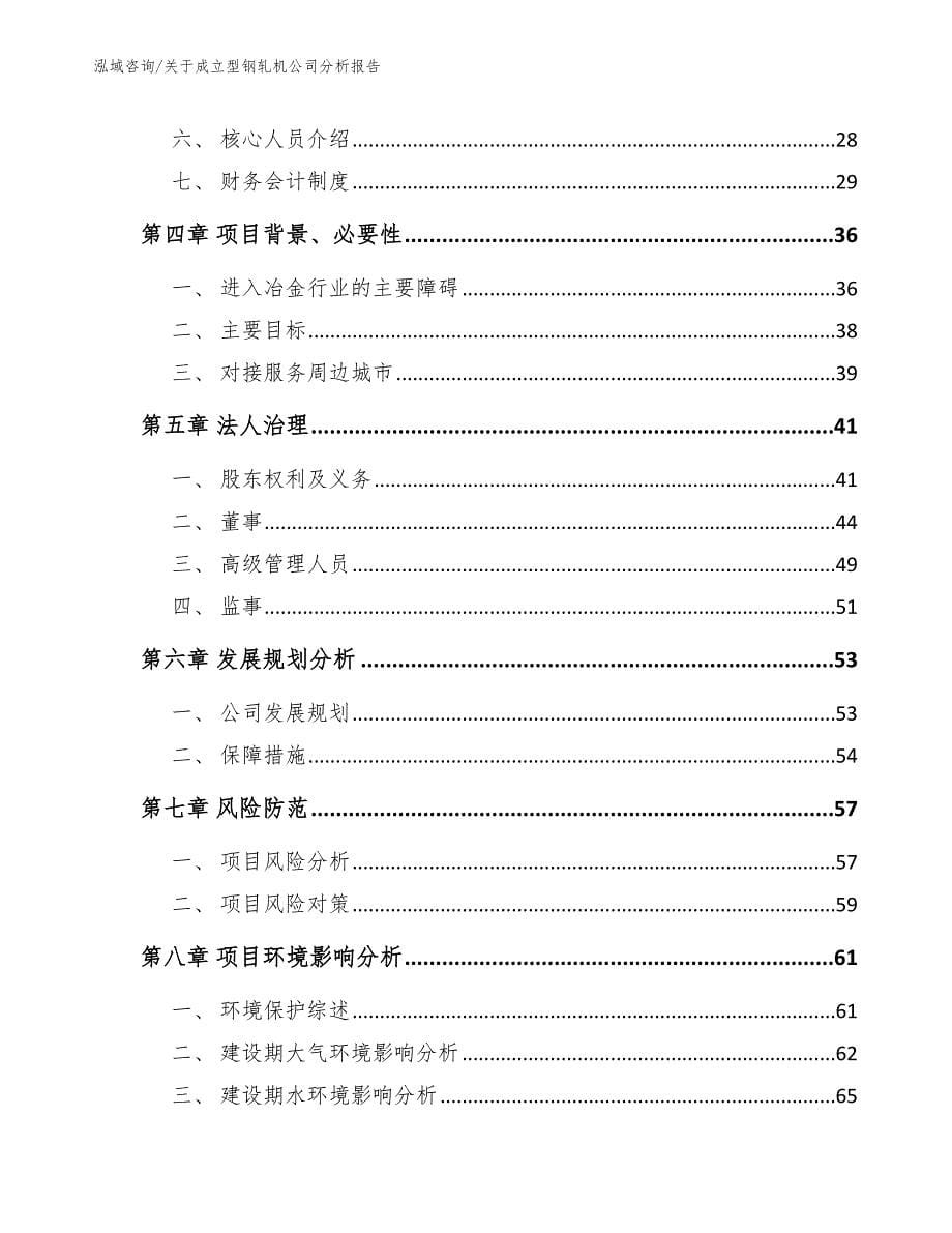 关于成立型钢轧机公司分析报告_第5页