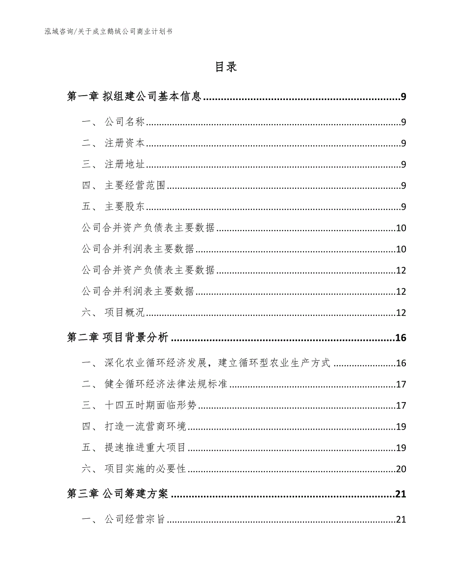 关于成立鹅绒公司商业计划书模板范本_第4页