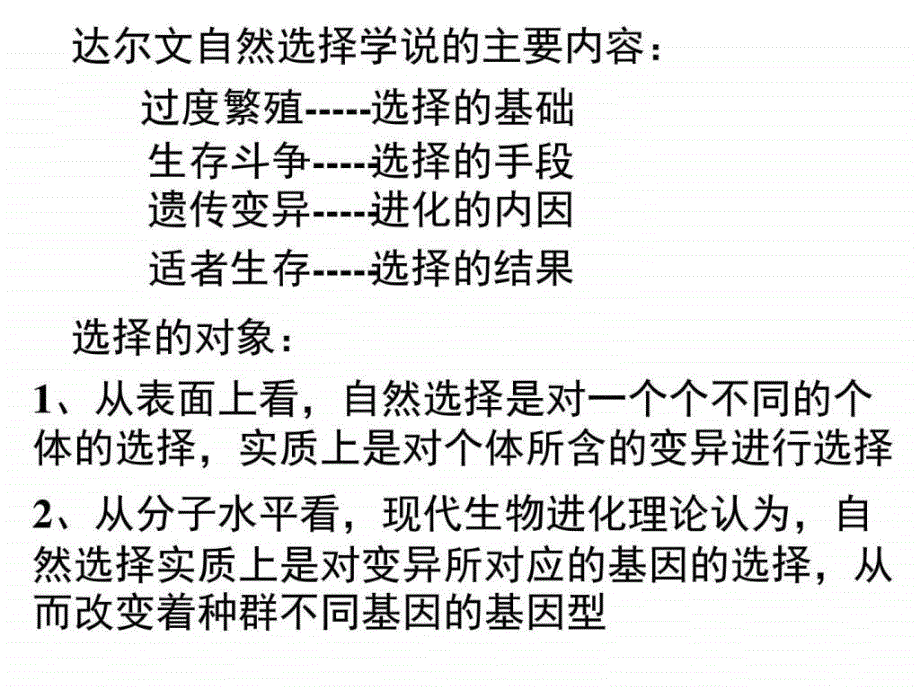 ...广东省湛江一中高一生物71现代生物进化理论的由..._第3页