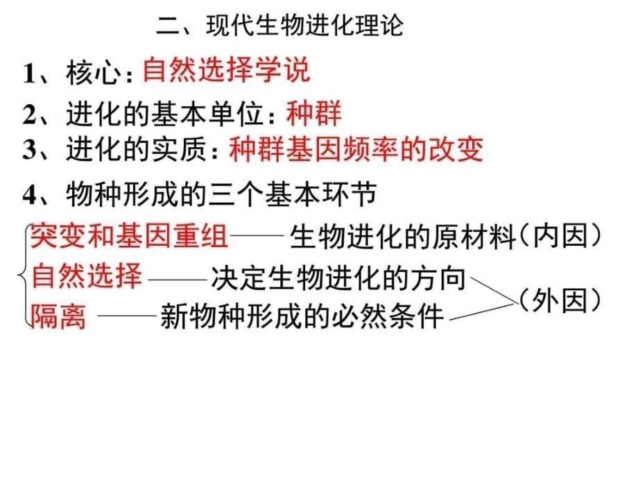 ...广东省湛江一中高一生物71现代生物进化理论的由..._第5页