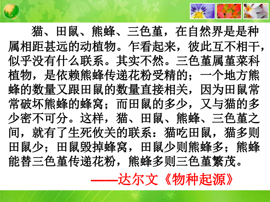 七课一框世界是普遍联系的_第3页