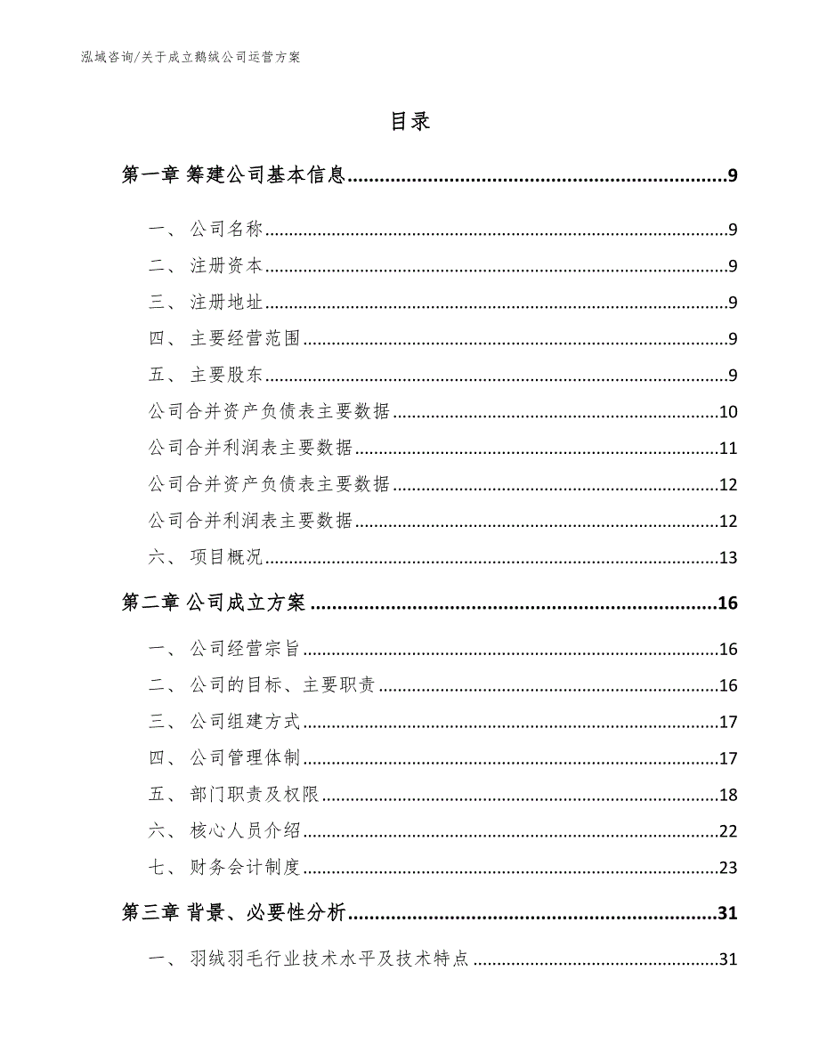 关于成立鹅绒公司运营方案范文参考_第2页