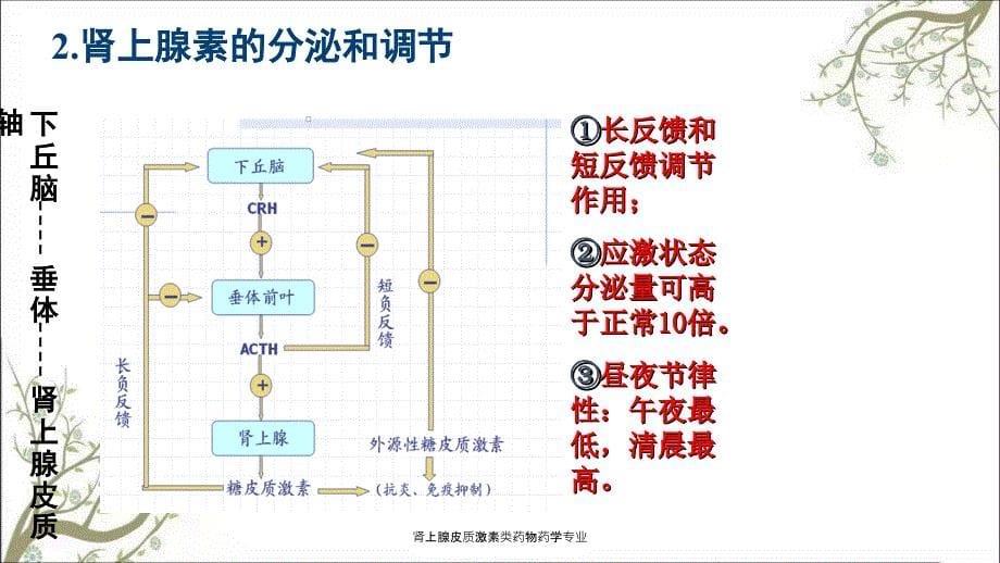 肾上腺皮质激素类药物药学专业_第5页