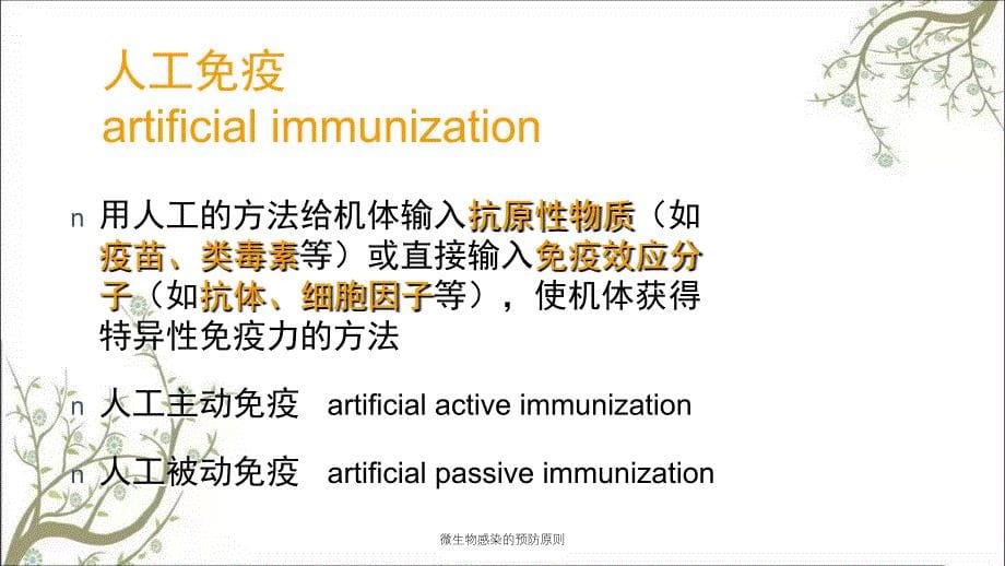 微生物感染的预防原则课件_第5页