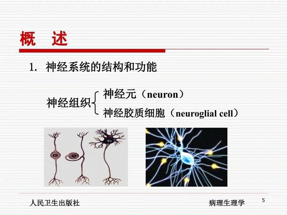 脑功能不全课件_第5页