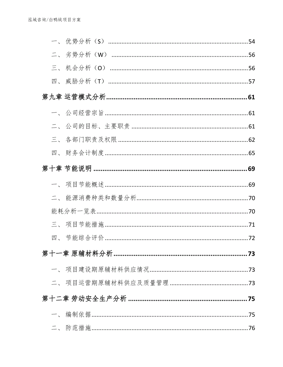 白鸭绒项目方案【模板】_第4页