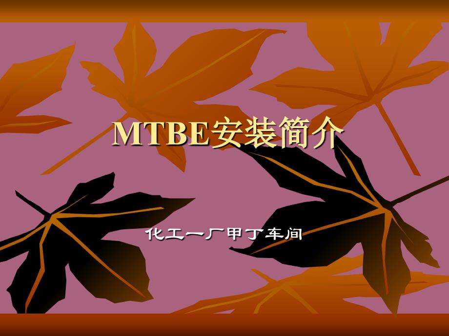 MTBE装置生产原理及工艺流程ppt课件_第1页