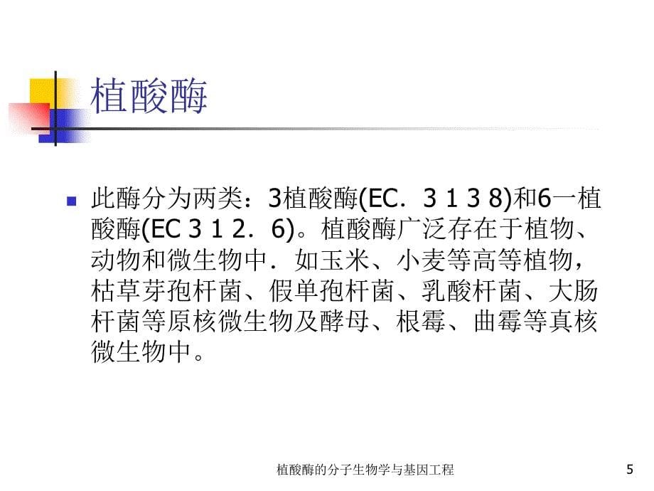 植酸酶的分子生物学与基因工程课件_第5页