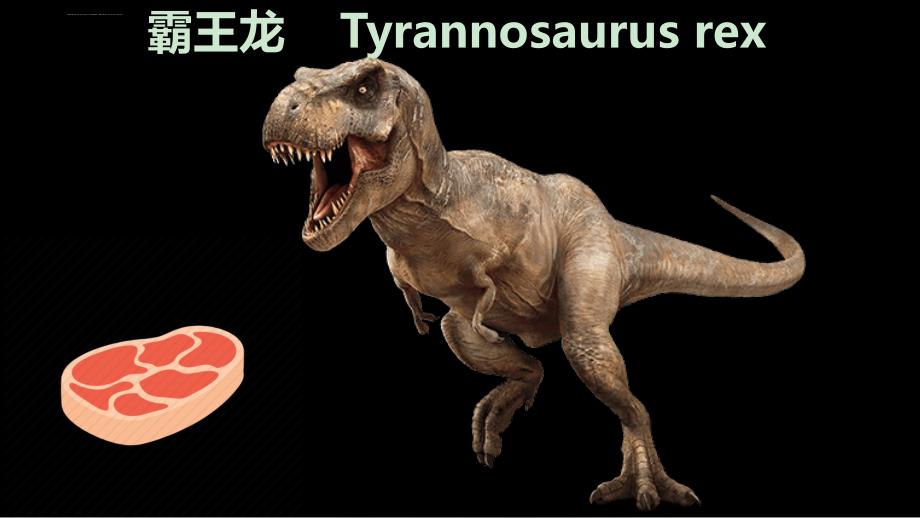 恐龙种类中英文对照dinosaur flashcards_第2页