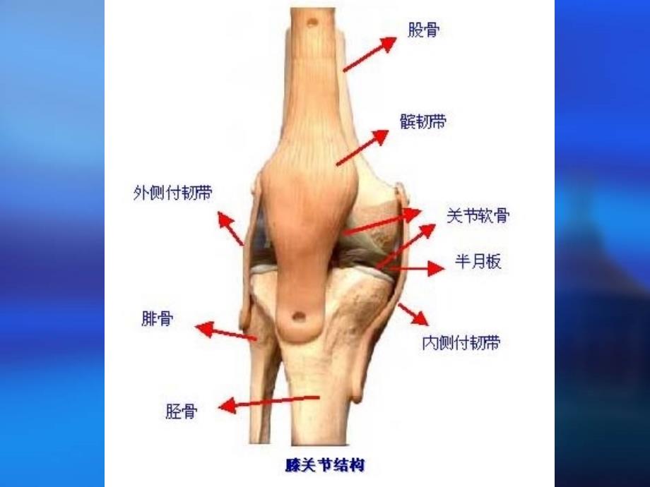 膝关节骨性关节炎的中西医治疗.ppt_第4页