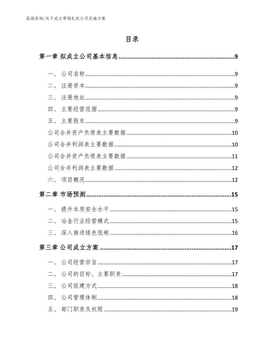 关于成立带钢轧机公司实施方案_第2页