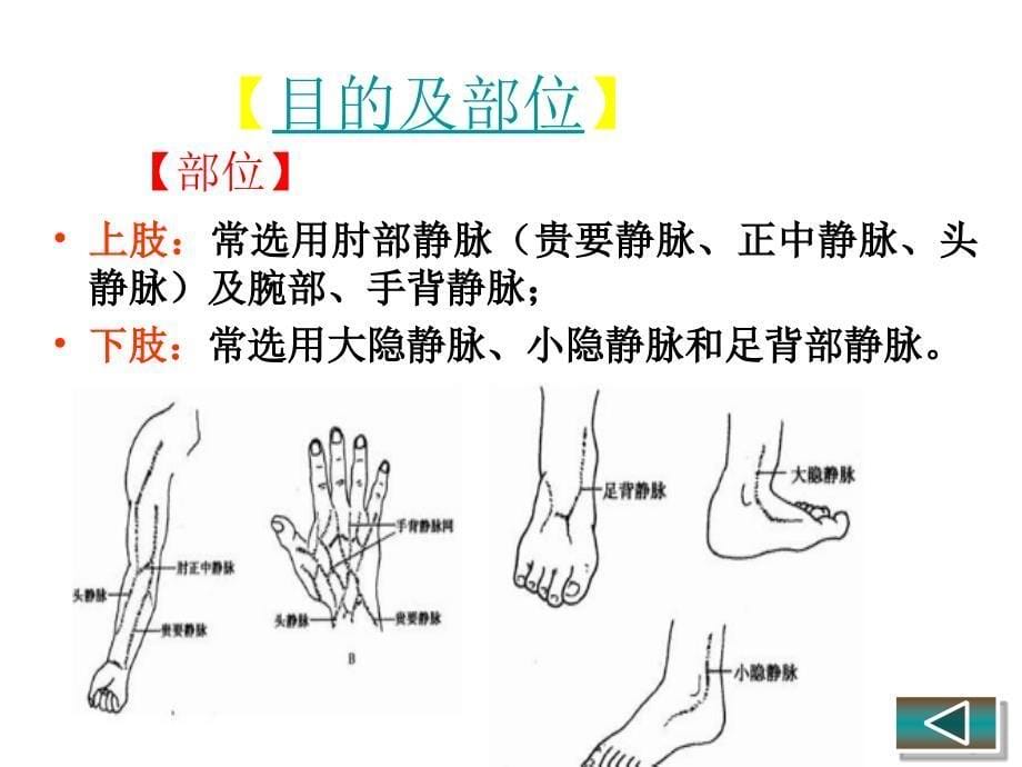 静脉注射法PPT课件_第5页