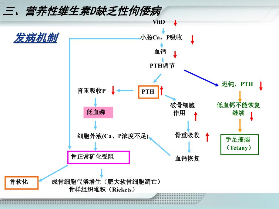 佝偻病患儿的护理_第4页