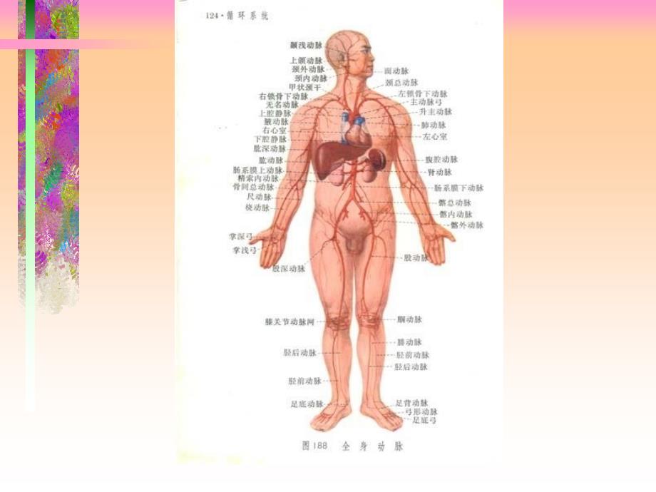 周围血管外科疾病_第2页