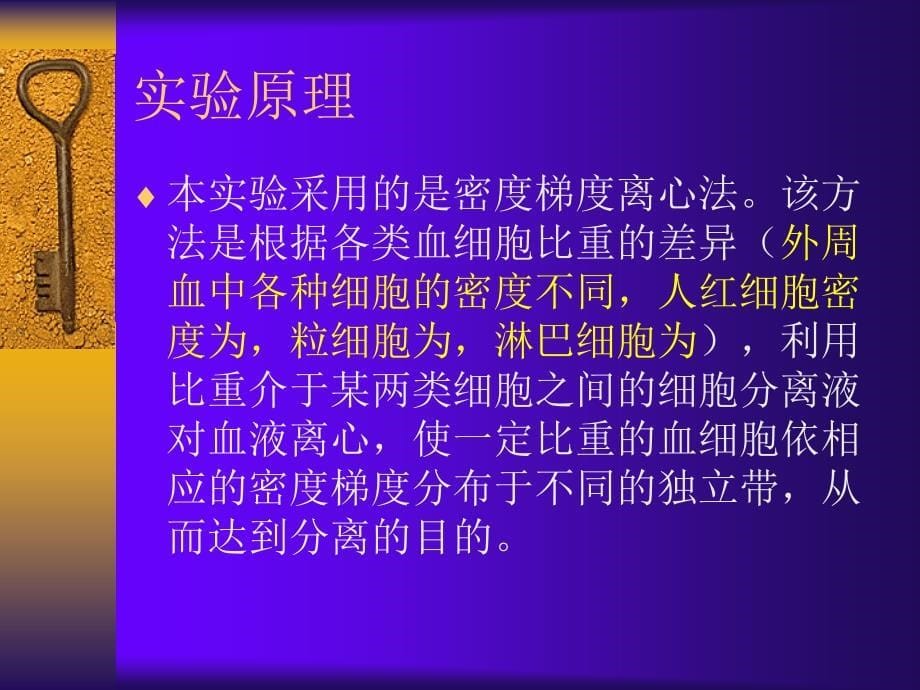 淋巴细胞分离与E玫瑰花环形成实验_第5页