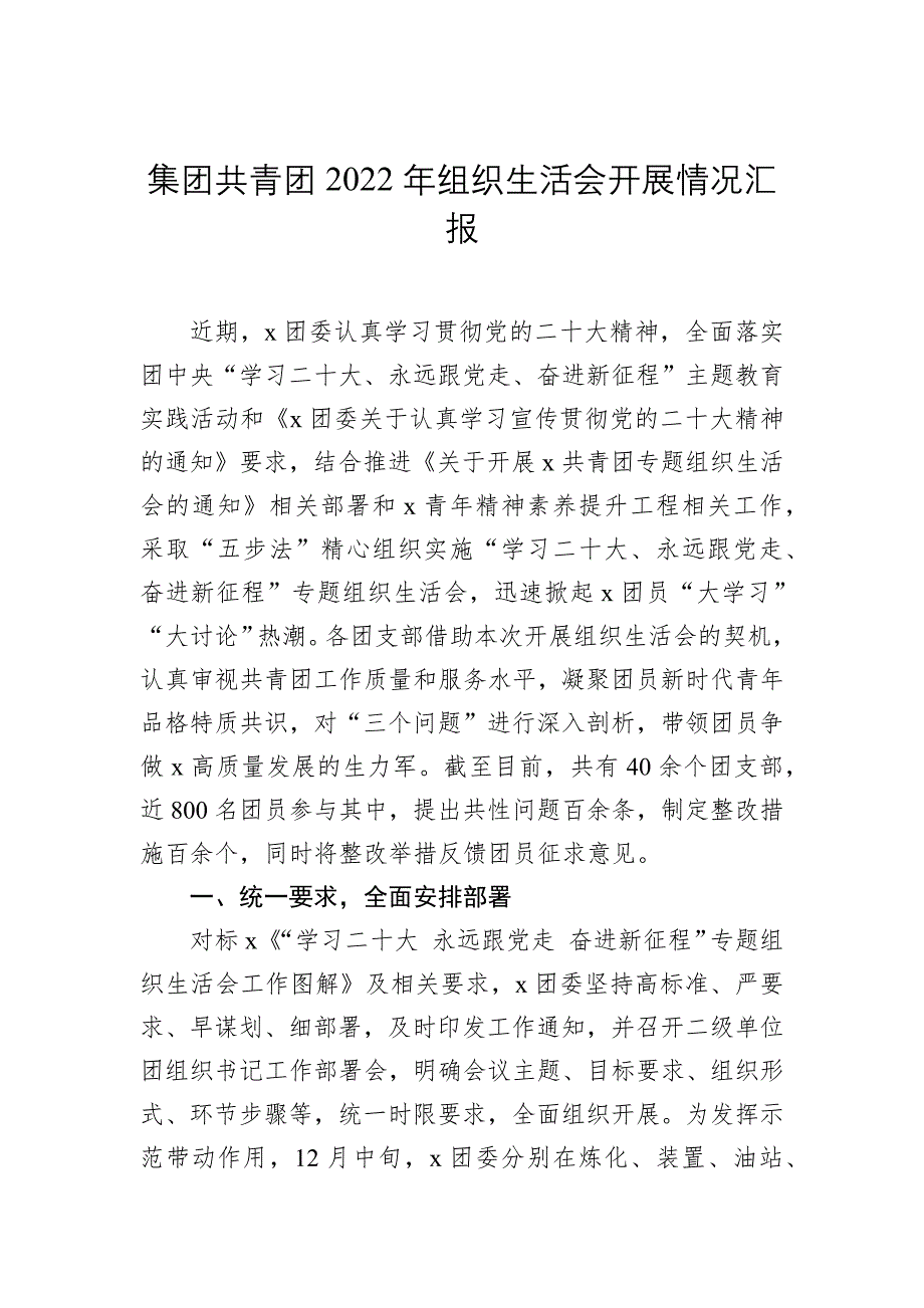 集团共青团2023年组织会开展情况汇报_第1页