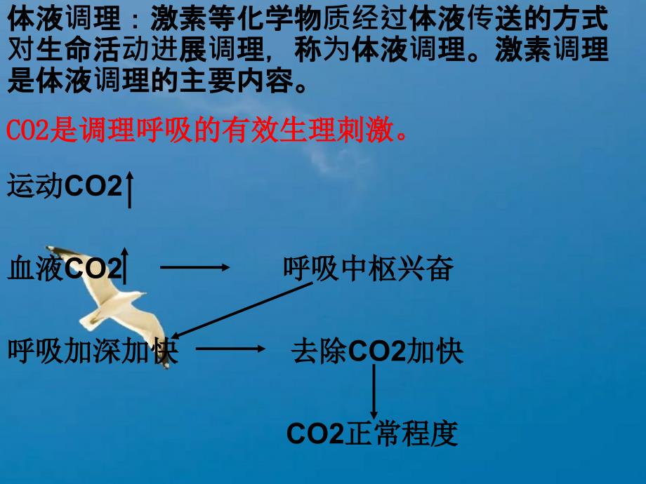 教学激素调节和神经调节的关系ppt课件_第3页