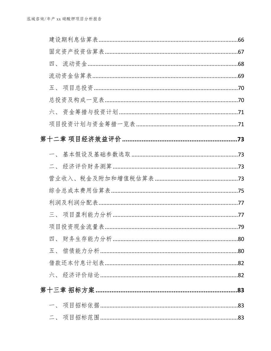 年产xx硝酸钾项目分析报告_参考模板_第5页