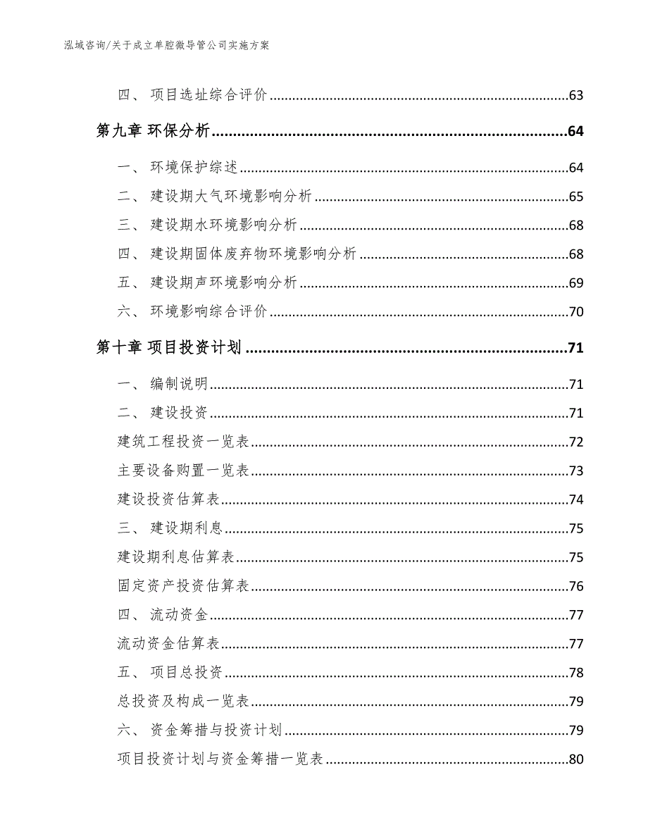 关于成立单腔微导管公司实施方案（参考模板）_第4页