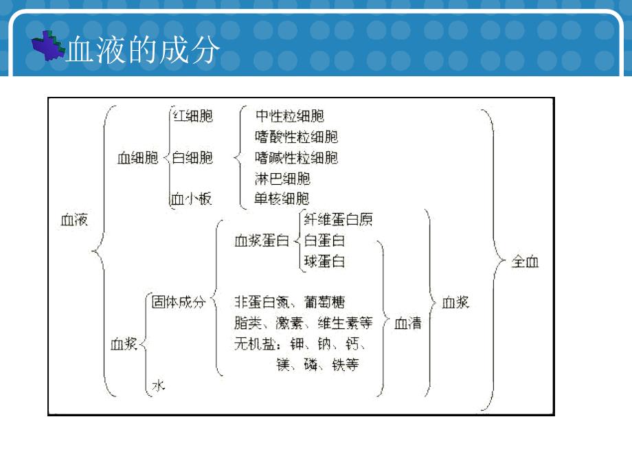 常用血液分析指标.ppt_第2页