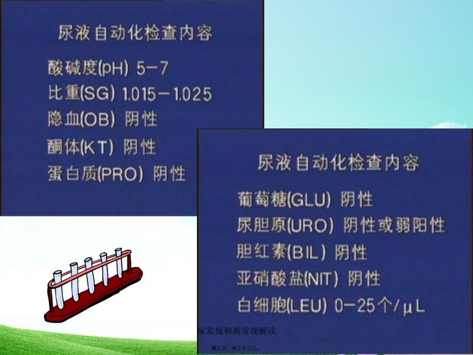 尿常规和粪常规解读课件_第2页