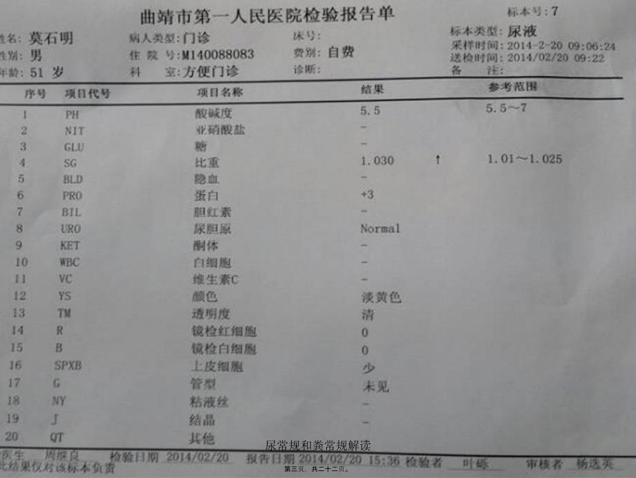 尿常规和粪常规解读课件_第3页