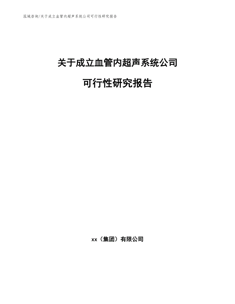 关于成立血管内超声系统公司可行性研究报告_第1页