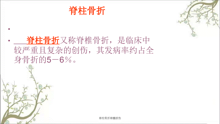 脊柱骨折脊髓损伤课件_第3页