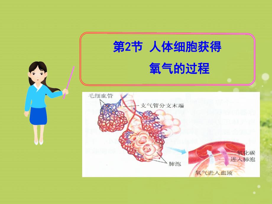 生物：_第10章_第2节_人体细胞获得氧气的过程课件_(北师大版七年级下)_第1页